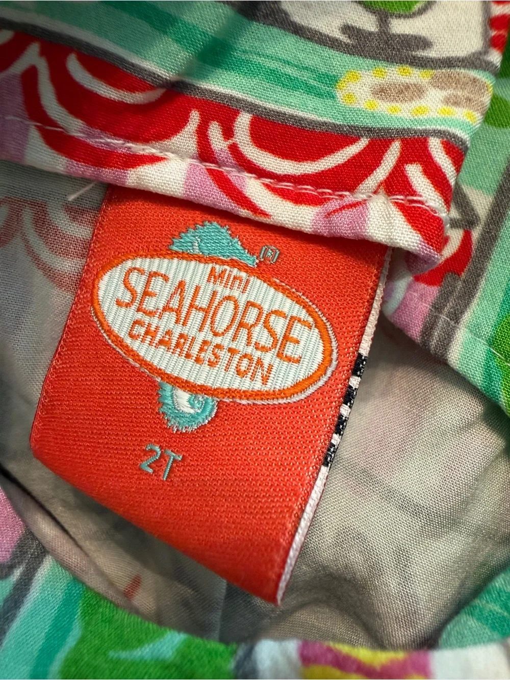 Mini Seahorse Charleston dress 2T